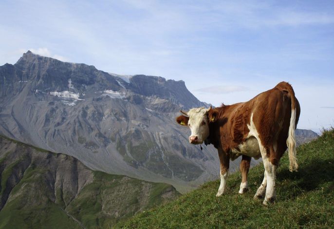 Bild 14