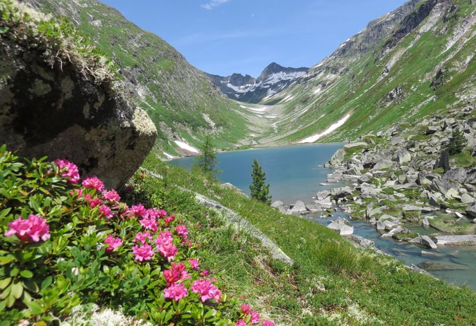 Bild 18