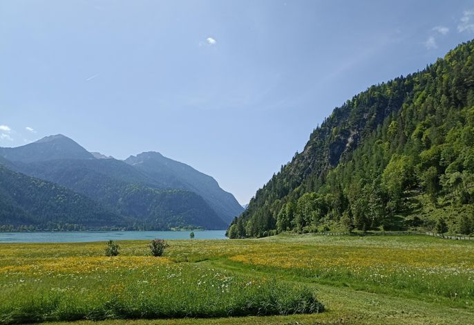 Bild 23