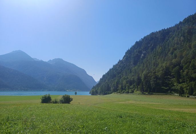 Bild 25