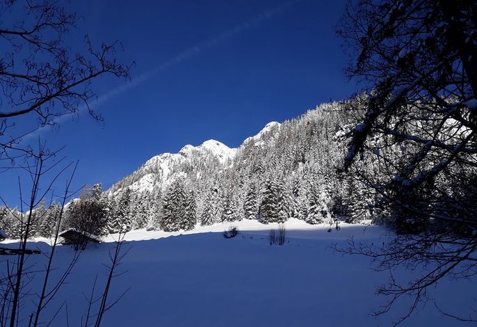 Bild 38