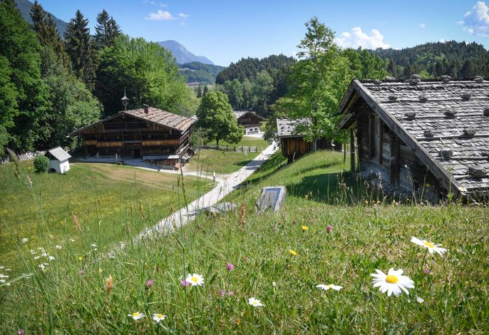 Bild 49