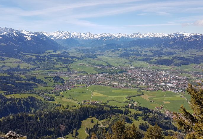 Bild 15