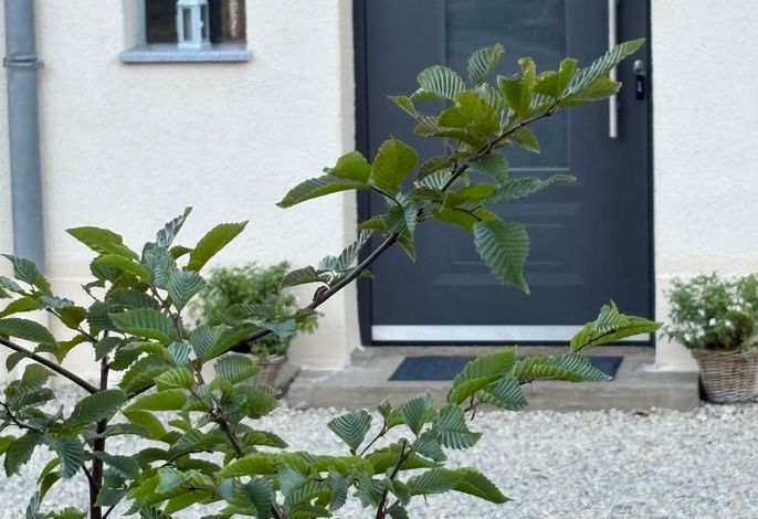 Appartement/Fewo, Dusche, WC, 1 Schlafraum