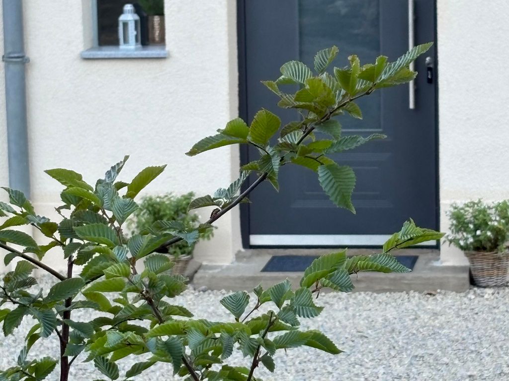 Fewo im Landhaus N° 3