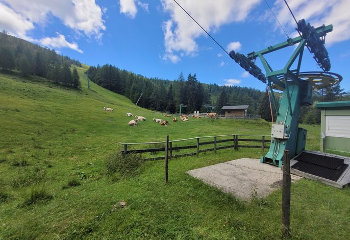 Bild 16