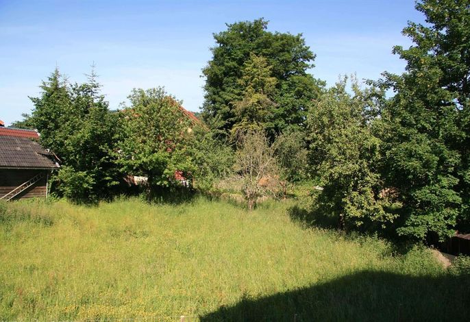 Bild 15
