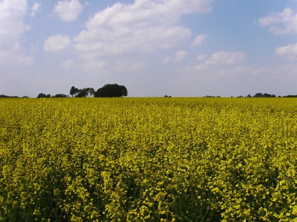 Spöring, Ferienhof