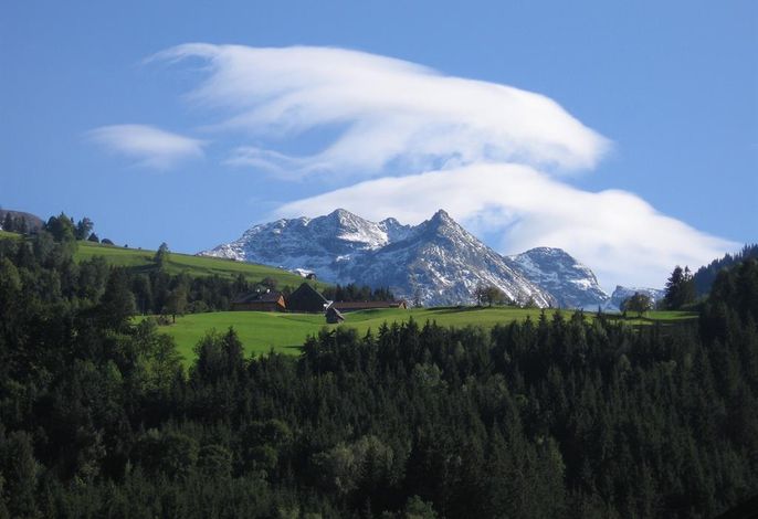 Bild 19