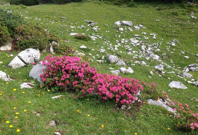 Bild 23