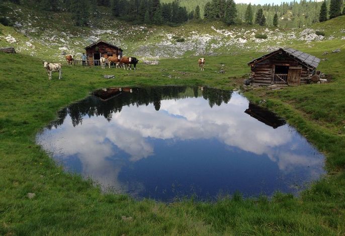 Bild 22
