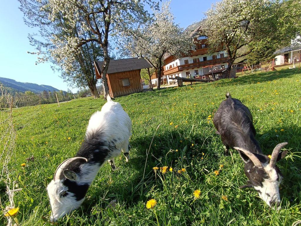 Hintererhof