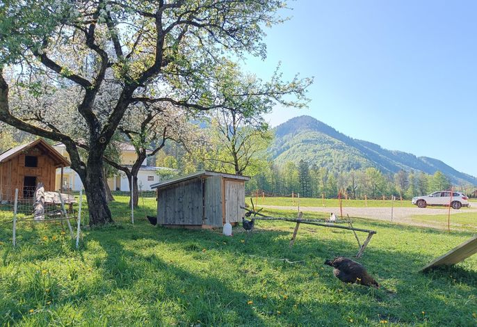 Bild 15