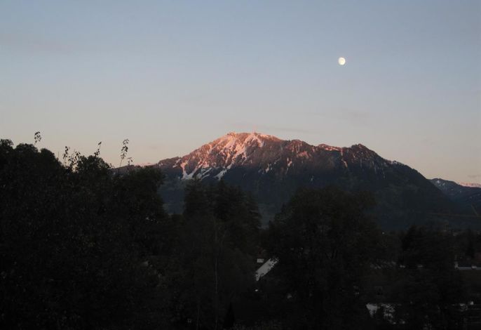 Bild 31