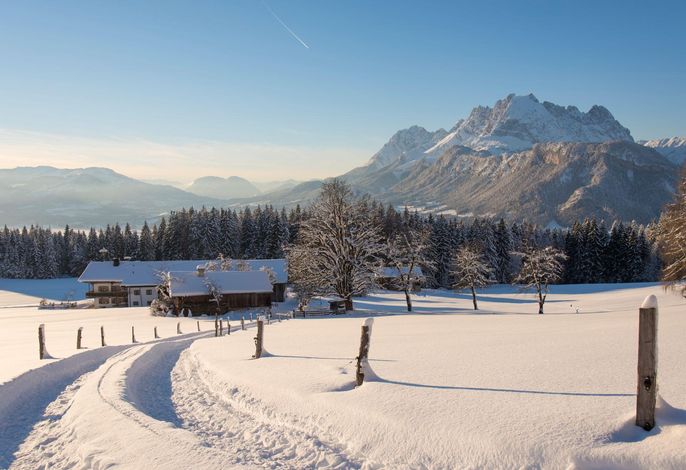 Bild 19