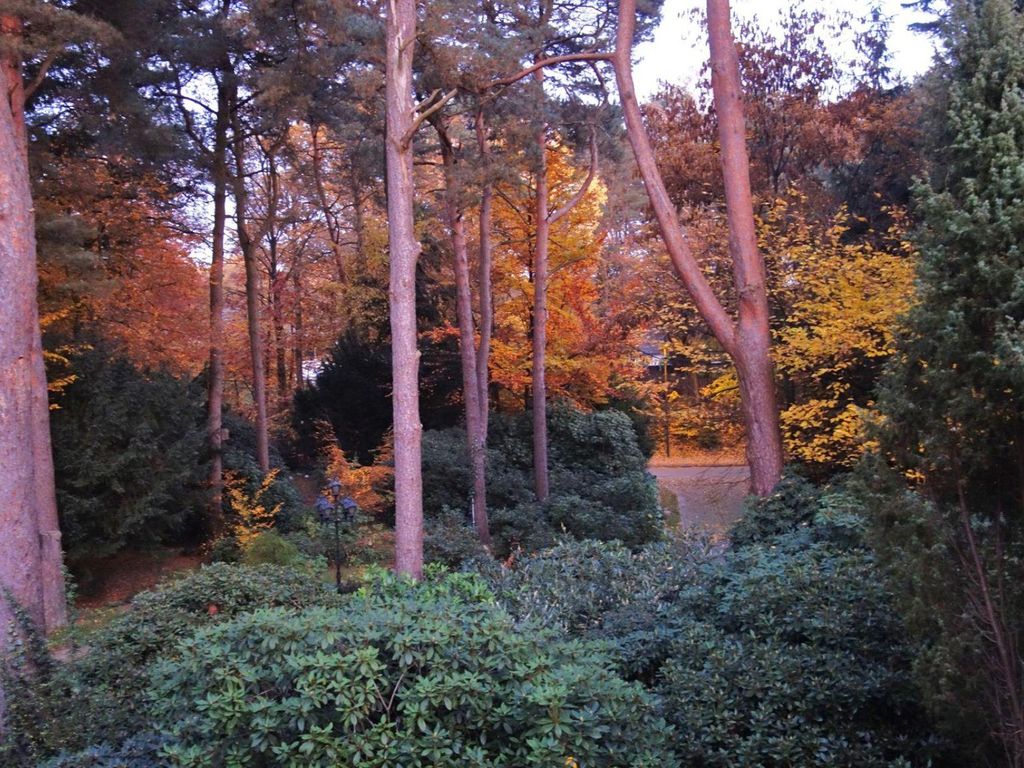 Ferienwohnung Kiefernblick - Wedemann