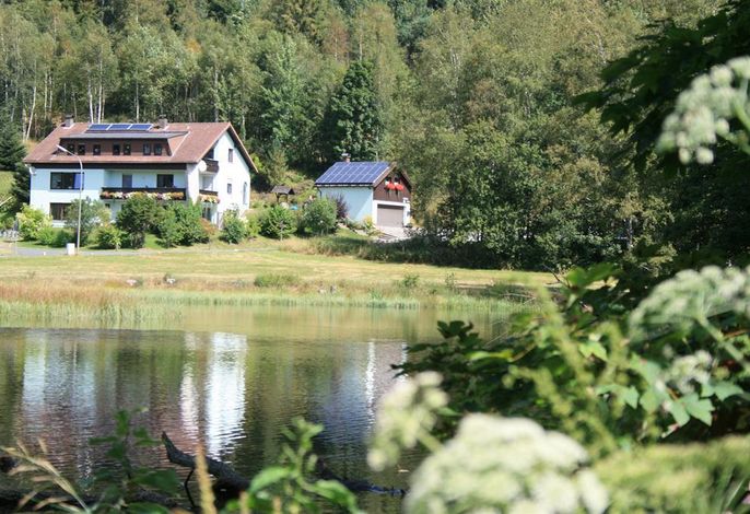 Bild 12