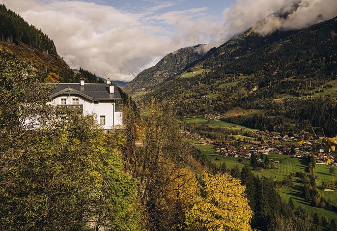 Bild 8