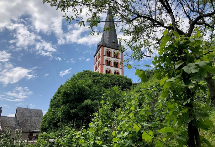 Bild 6