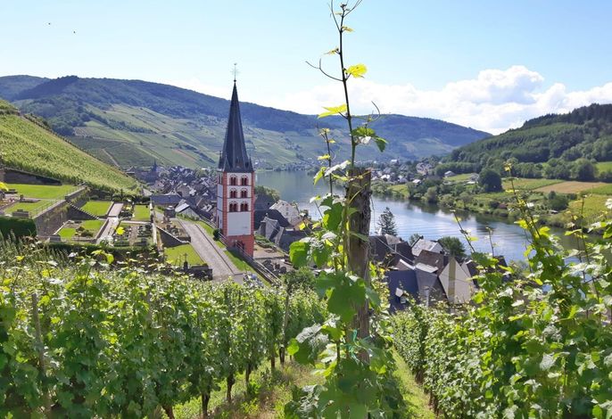 Bild 10
