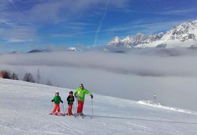 Bild 12