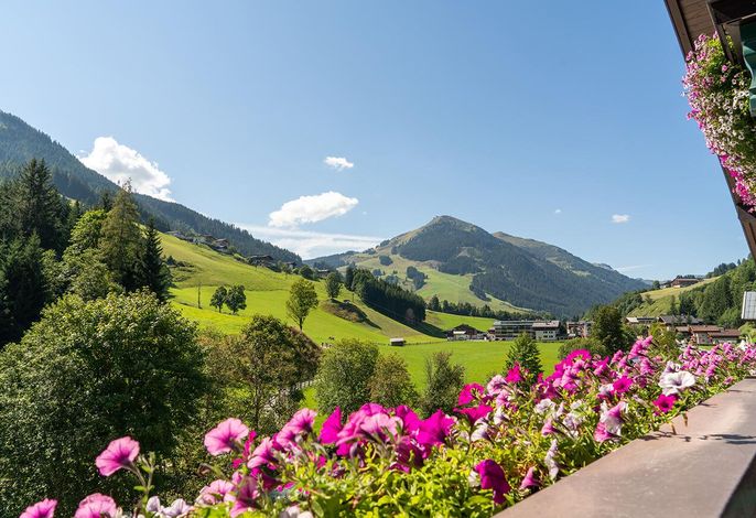 Bild 16