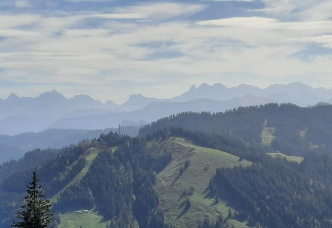 Bild 13
