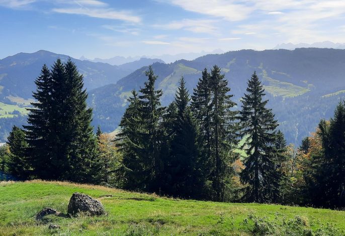 Bild 15
