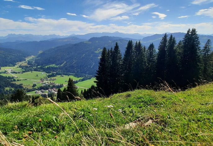 Bild 12