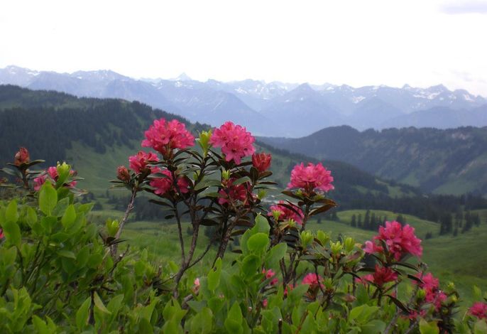 Bild 13