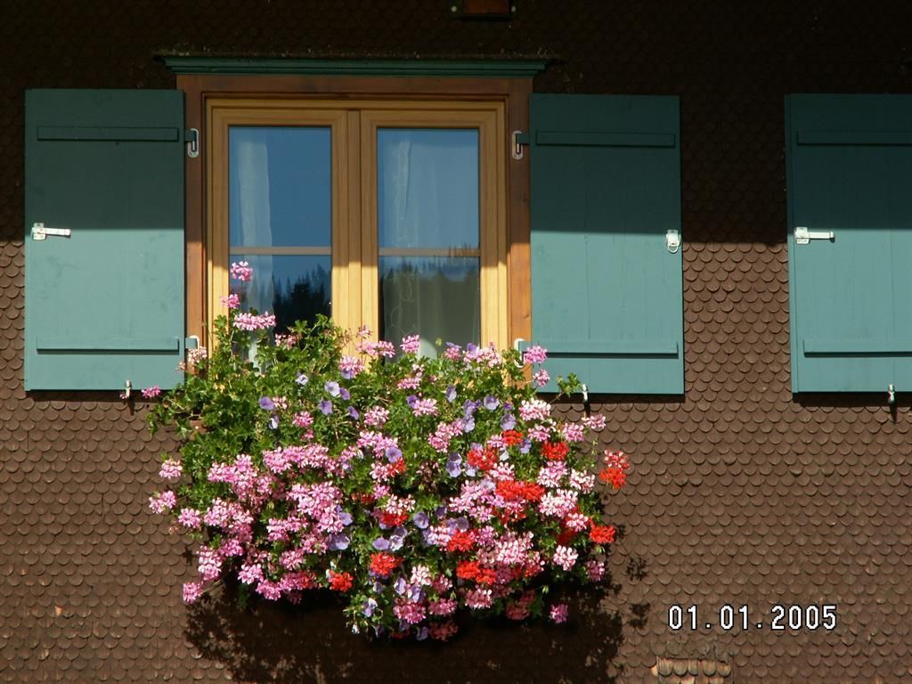 Ferienhof Schneider