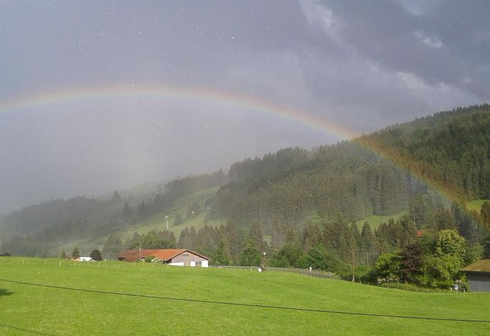 Bild 7