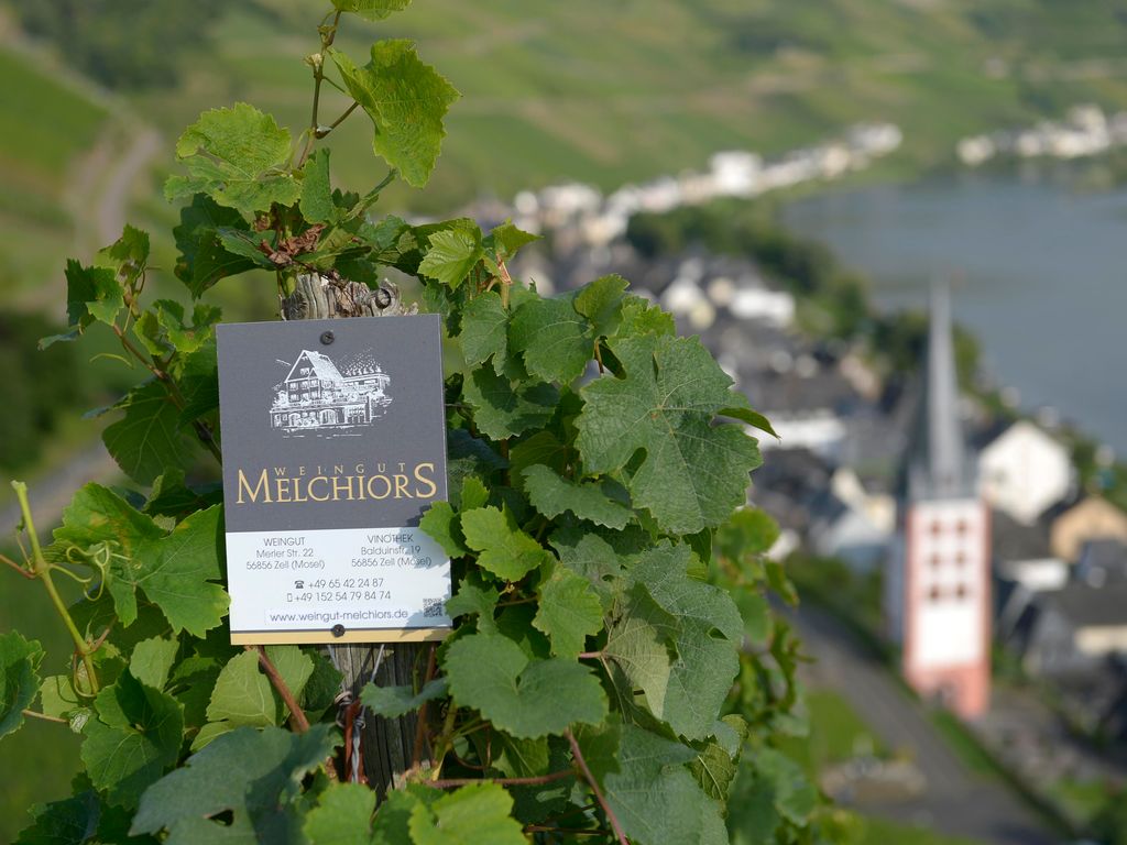 Weingut & Gästehaus Otto Melchiors