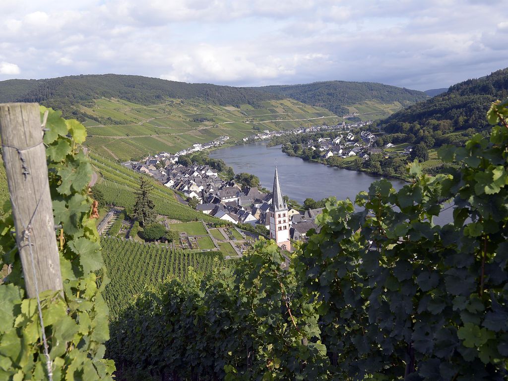 Weingut & Gästehaus Otto Melchiors