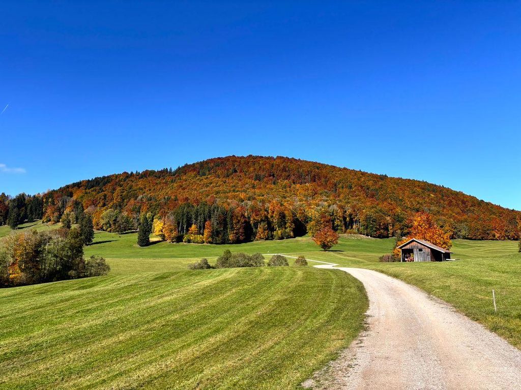 Panoramahof Breher