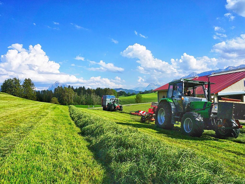 Panoramahof Breher