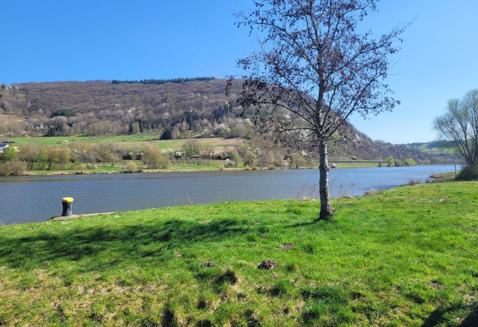 Bild 19