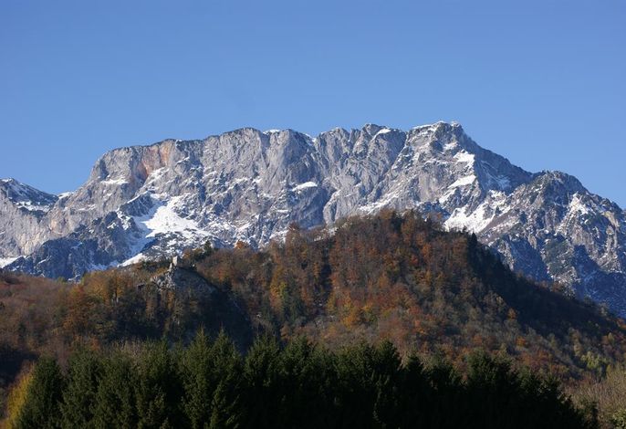 Bild 20