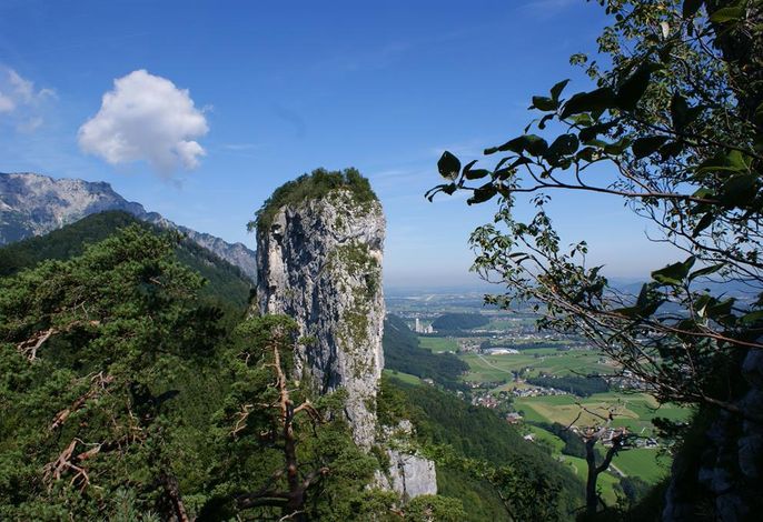 Bild 19