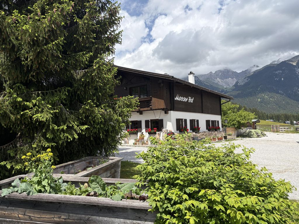 Mooserhof - für Hunde mit ihren Menschen