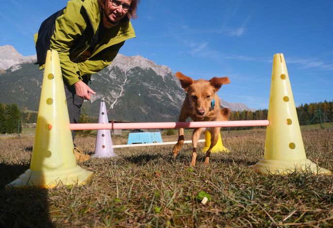 Bild 16