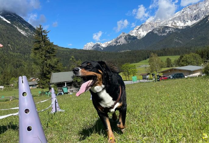 Bild 14