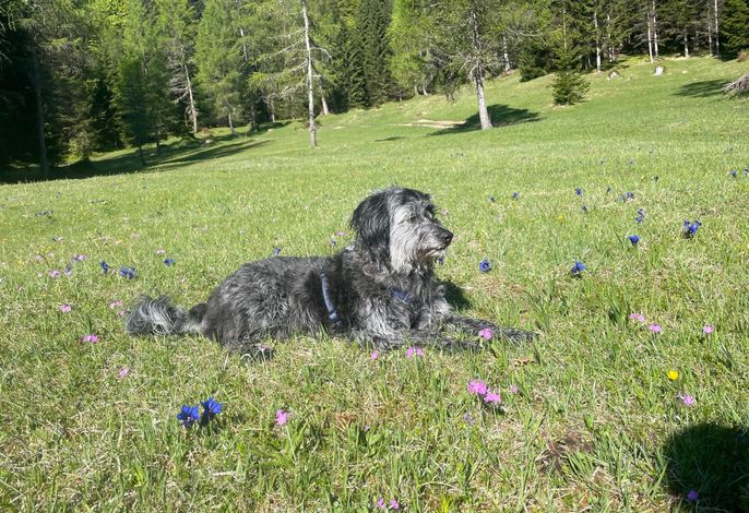 Bild 6