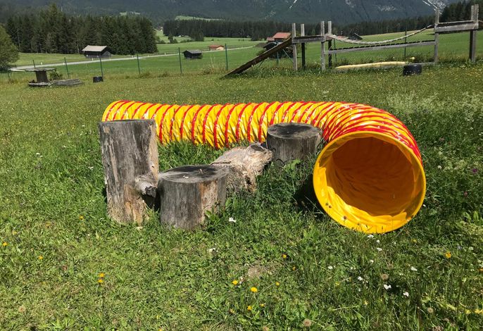 Bild 11