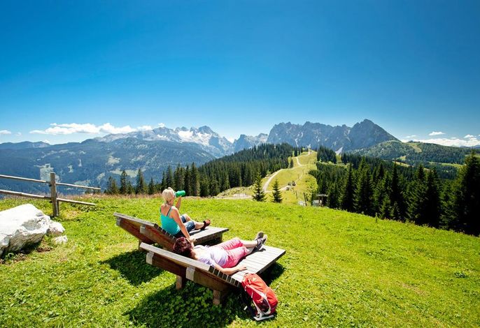 Bild 36