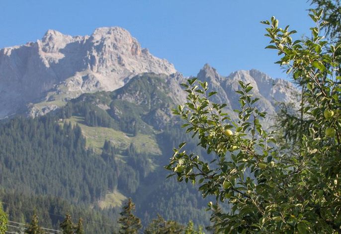 Bild 15