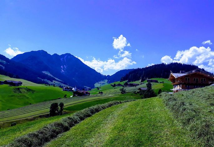 Bild 22