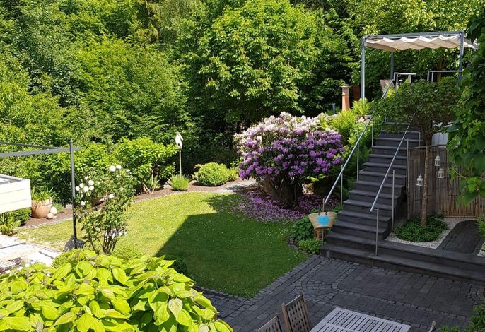 Bild 9