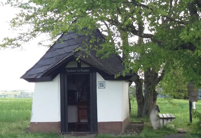 Bild 16