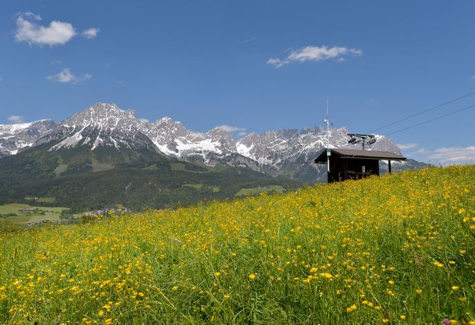 Bild 17